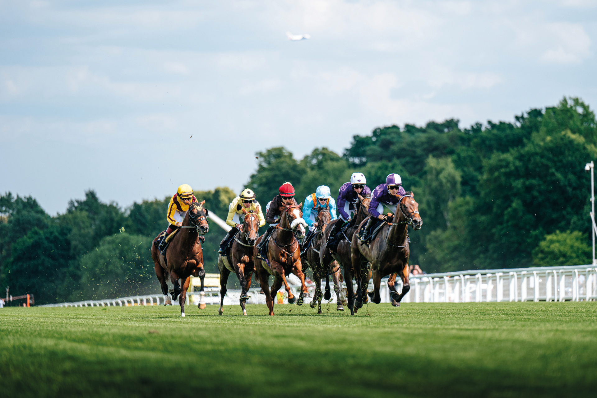 Horses racing