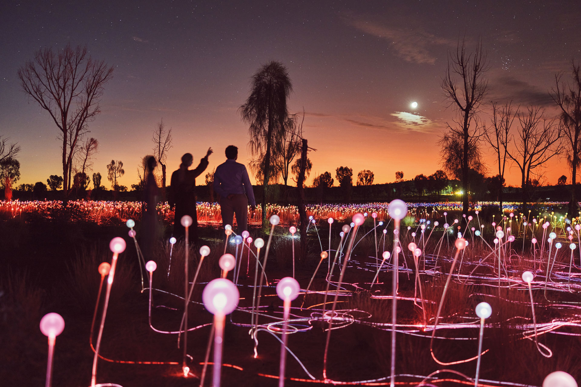 Field of Light installation in Australia's Red Centre
