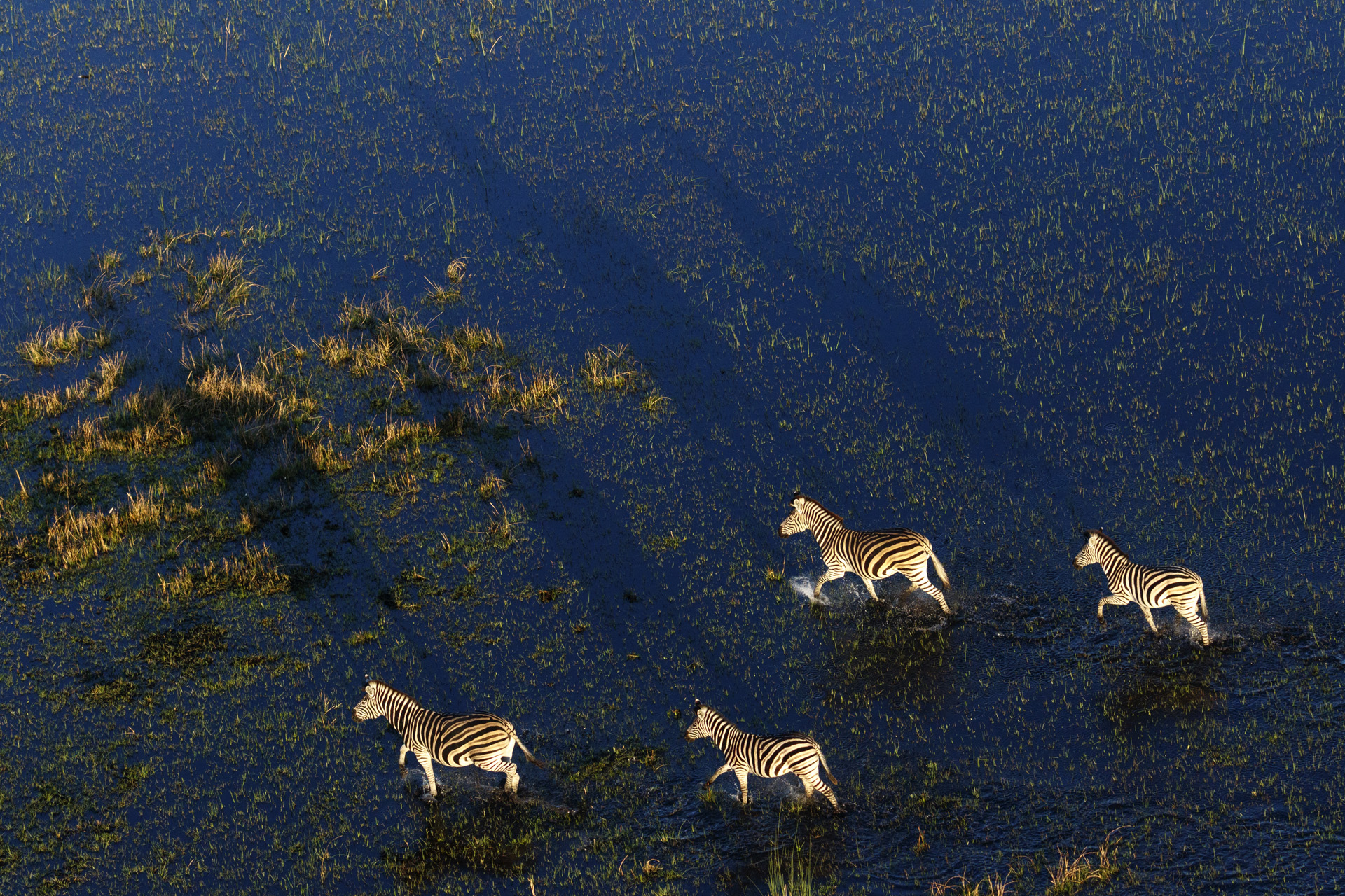 Okavango Delta