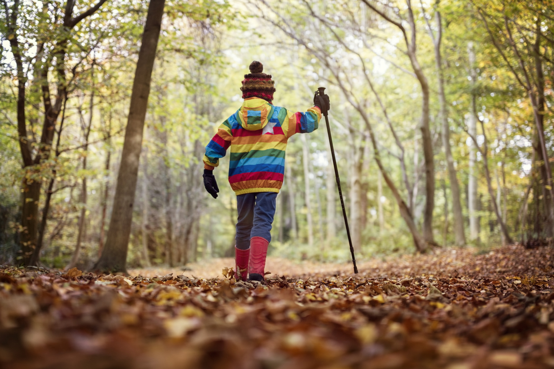 Boy walking with a hiking pole in a forest in autumn or winter