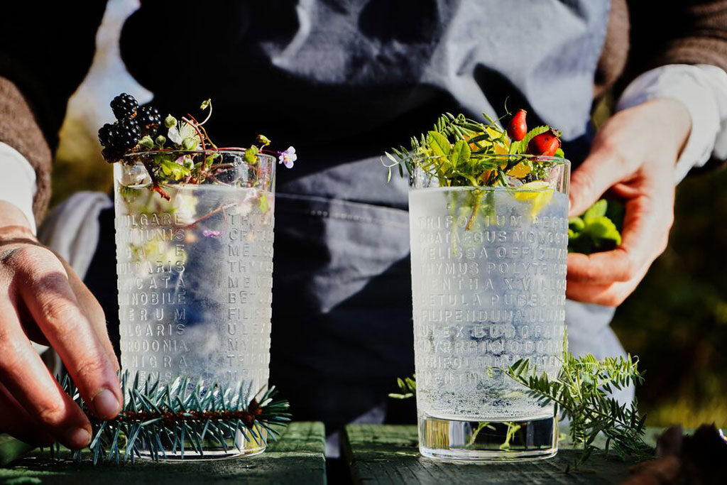 The Botanist Gin’s Perfect Martini