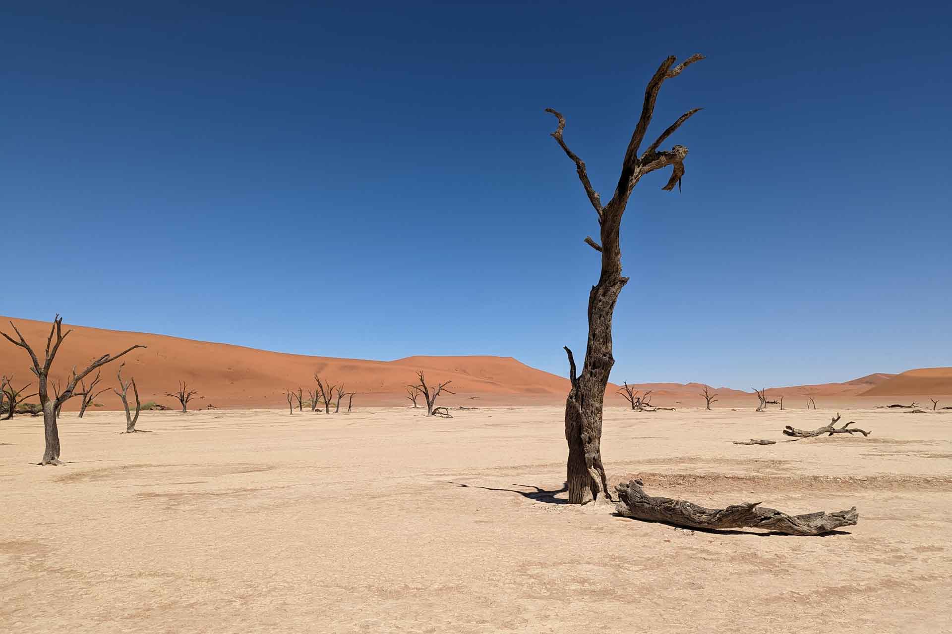 Namibia Sossusvlei