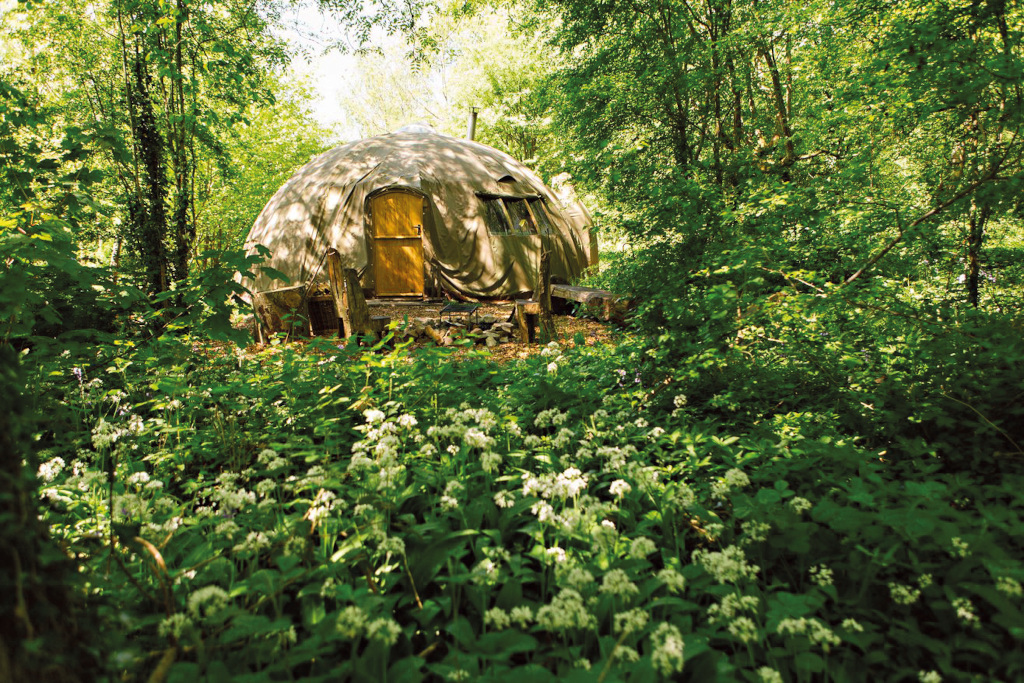 Glamping hut in forest