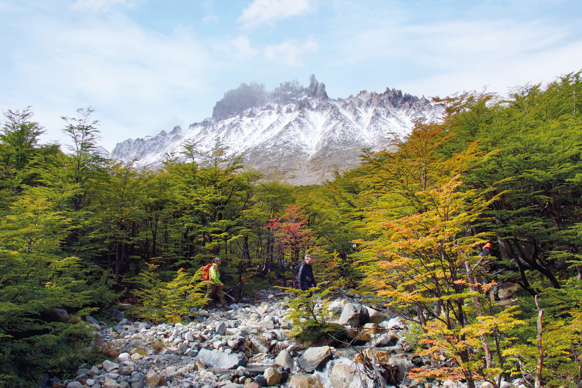 trees and a mountain with hikers