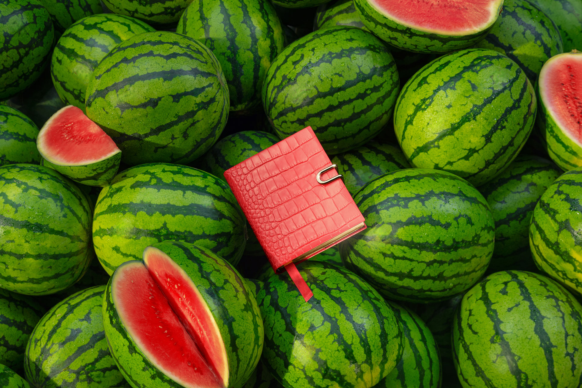 Red diary on watermelons