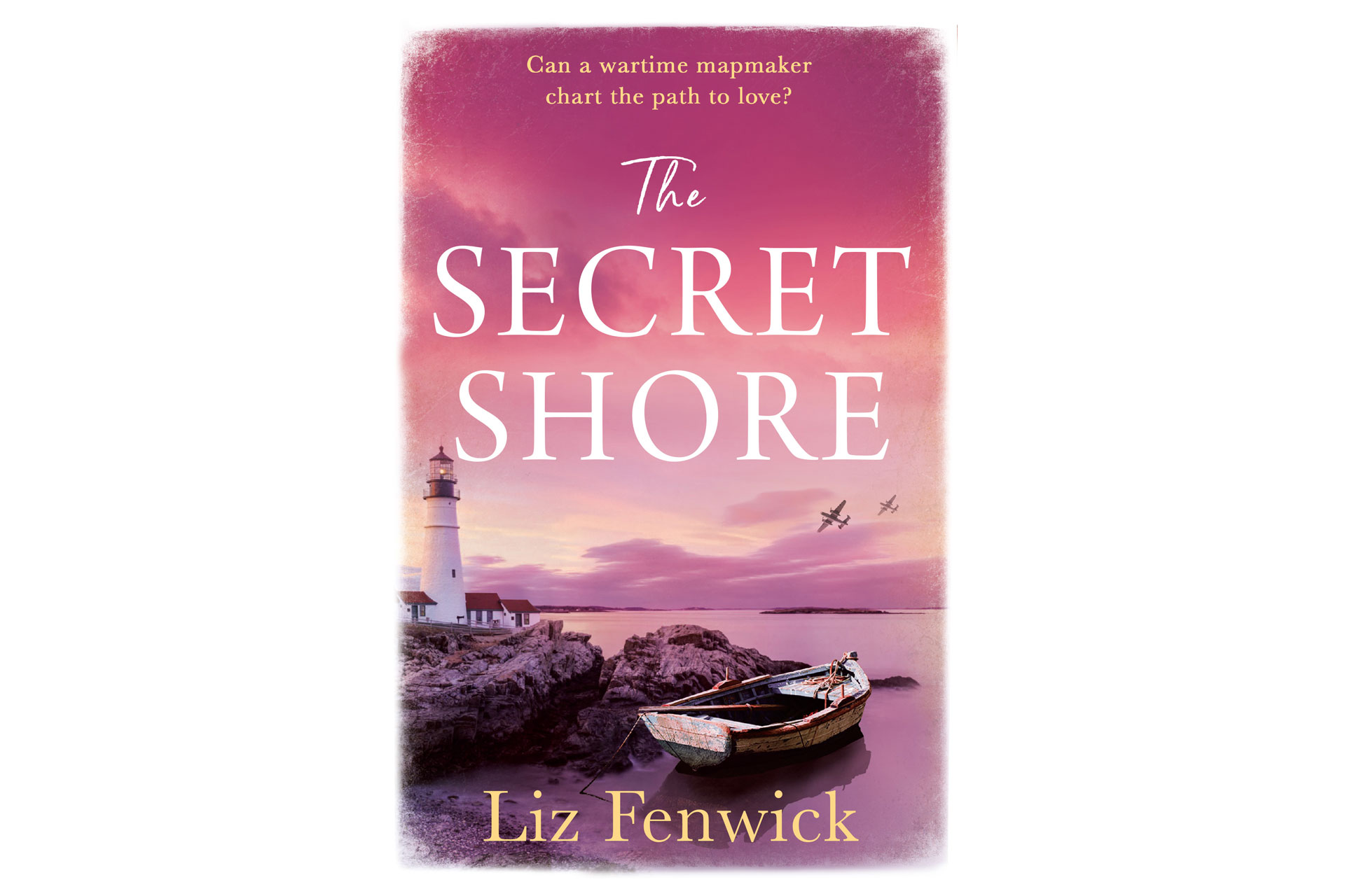 The Secret Shore book