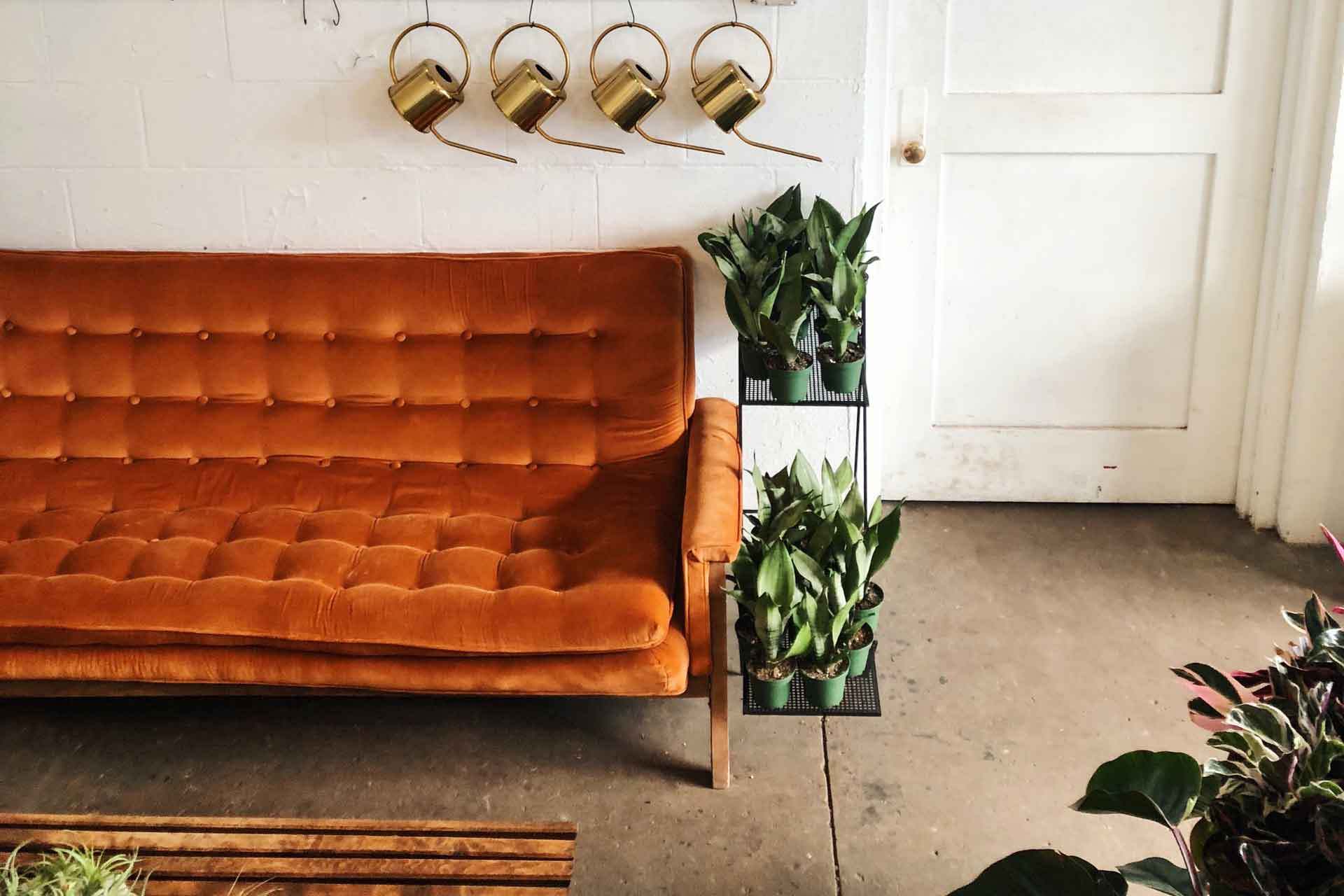 orange velvet sofa in a lagom household style