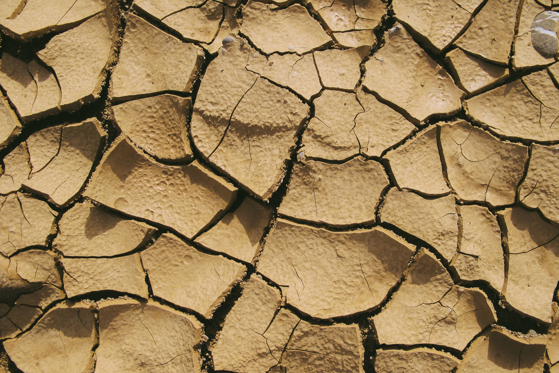 Drought is affecting travel and ecotourism