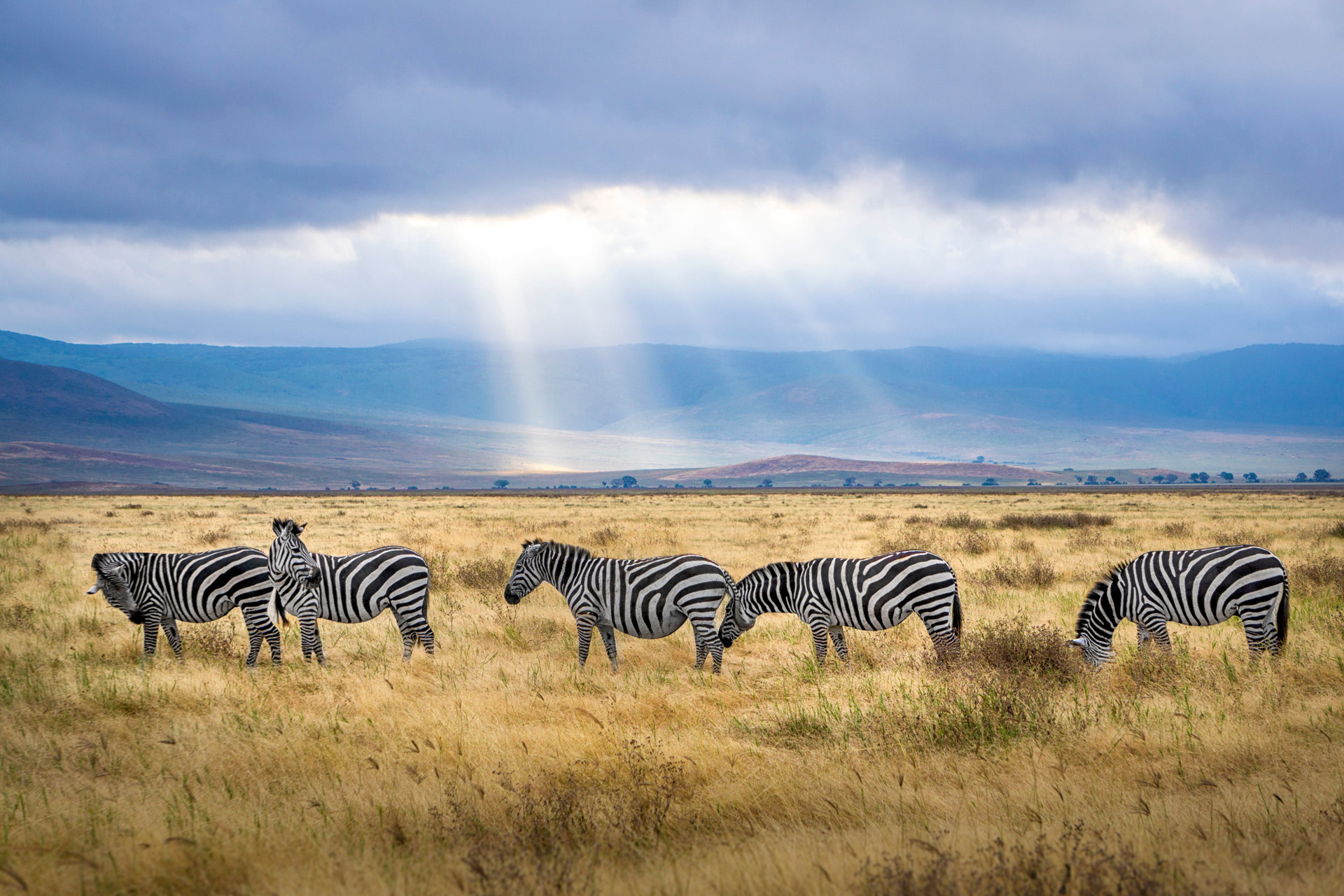 Tanzania is a trending destination for 2024