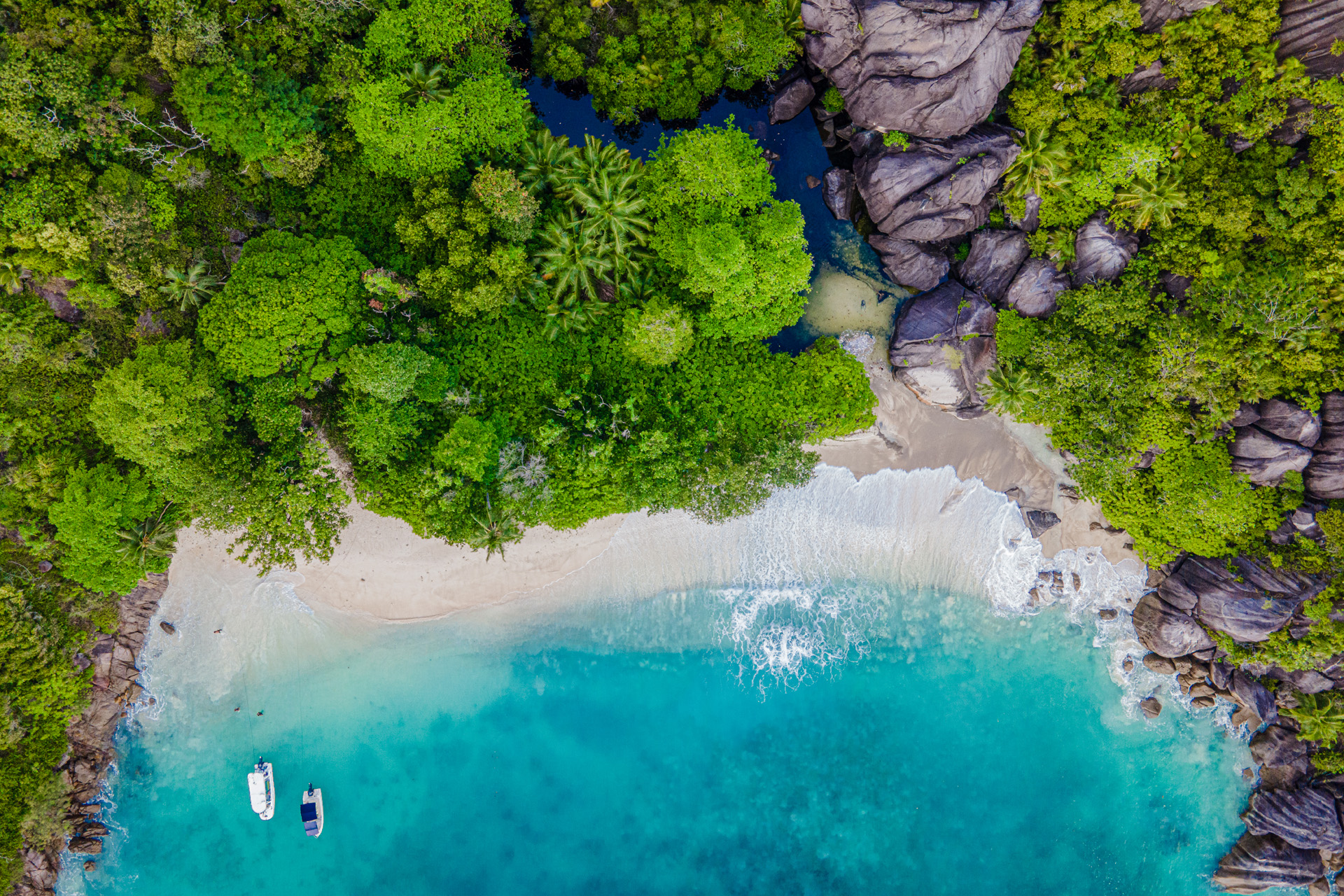 An aerial shot of Anse Du Riz beach in the Seychelles