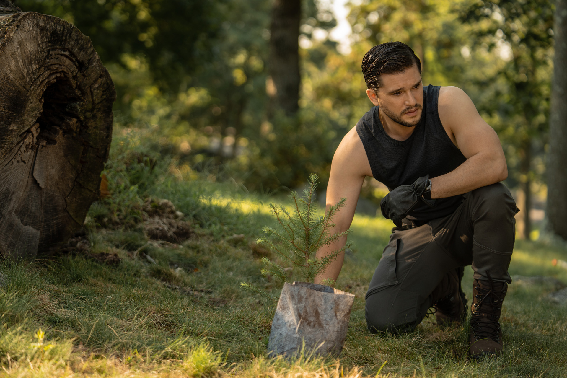 Kit Harrington