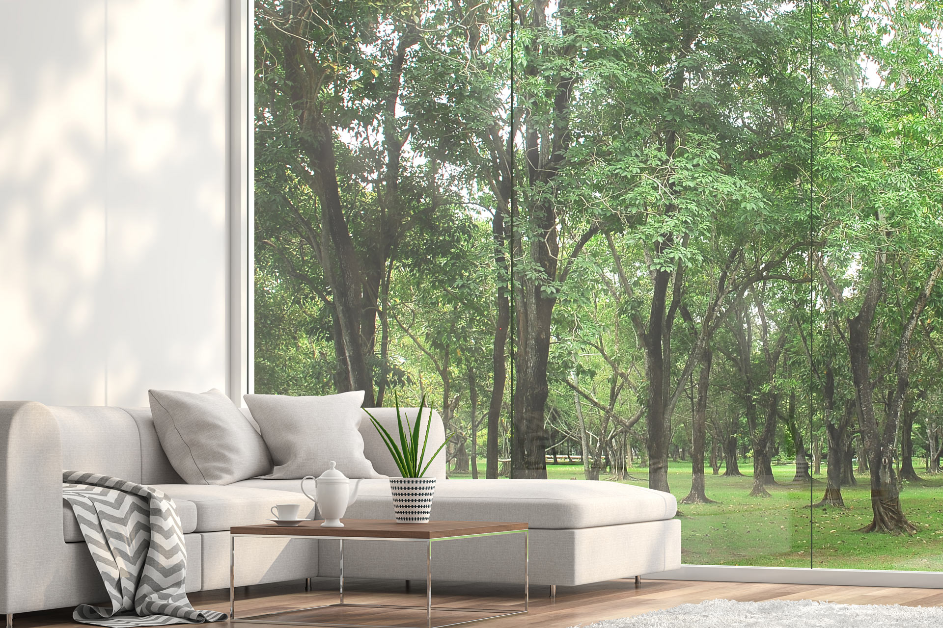 Minimal sofa located at the window with garden view