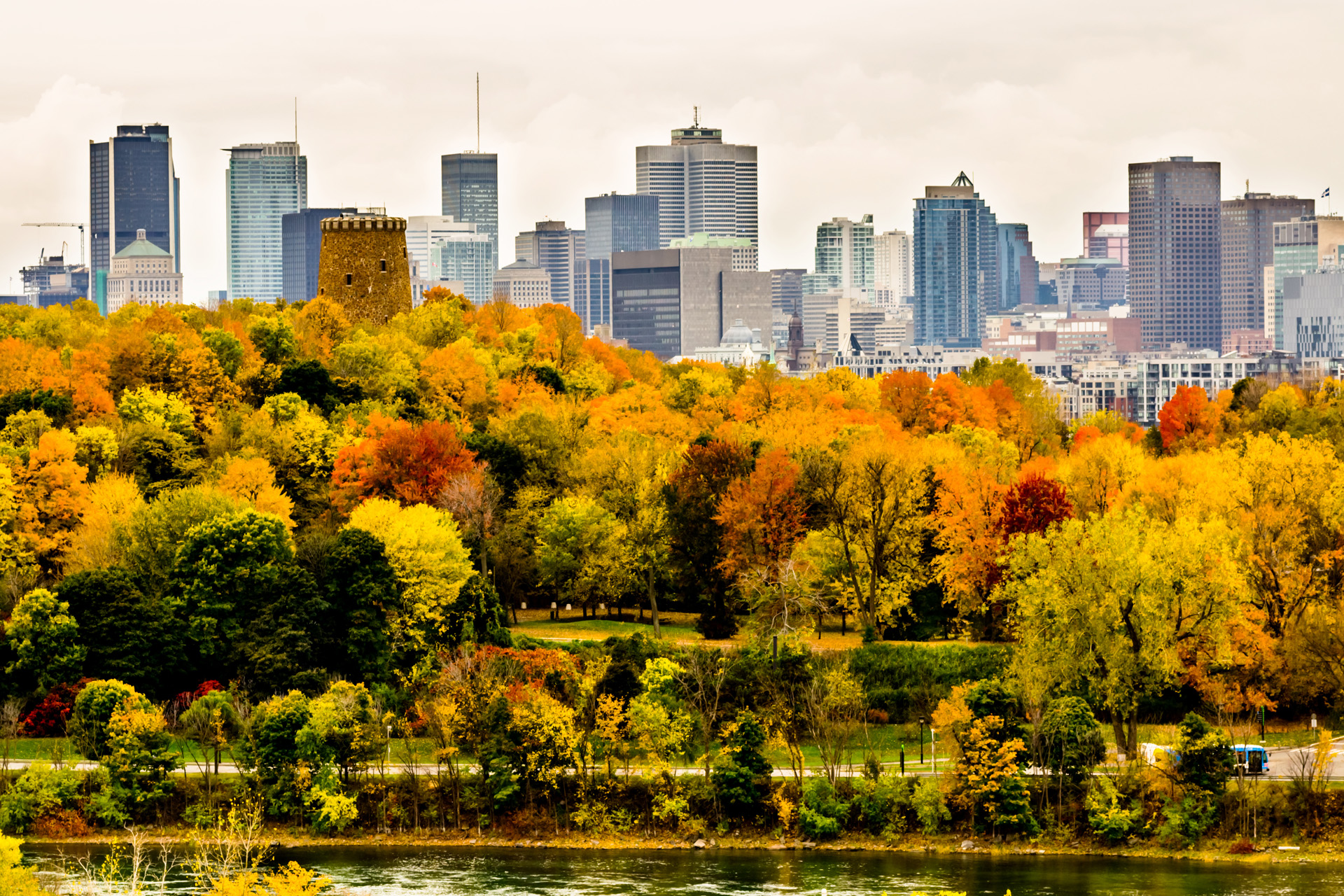 Montreal downtown skyscrapers in autumn