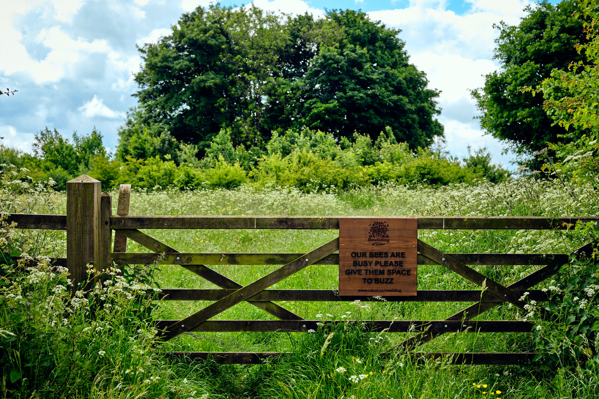 Wild pastureland at Calcot & Spa