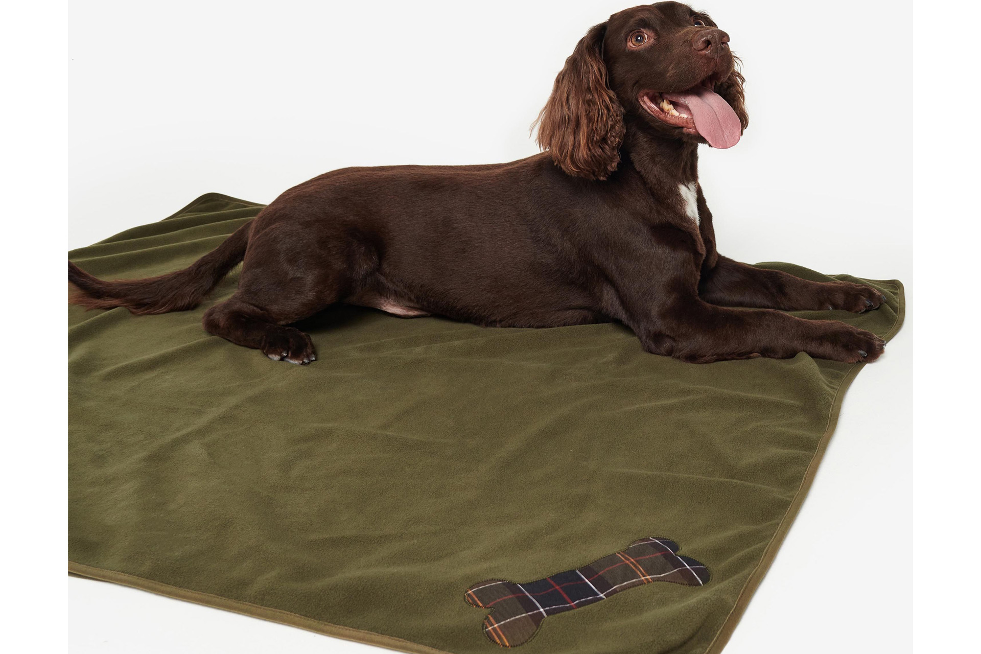 Brown cocker spaniel lying on forest green Barbour blanket with tartan embroidered dog bone on the corner
