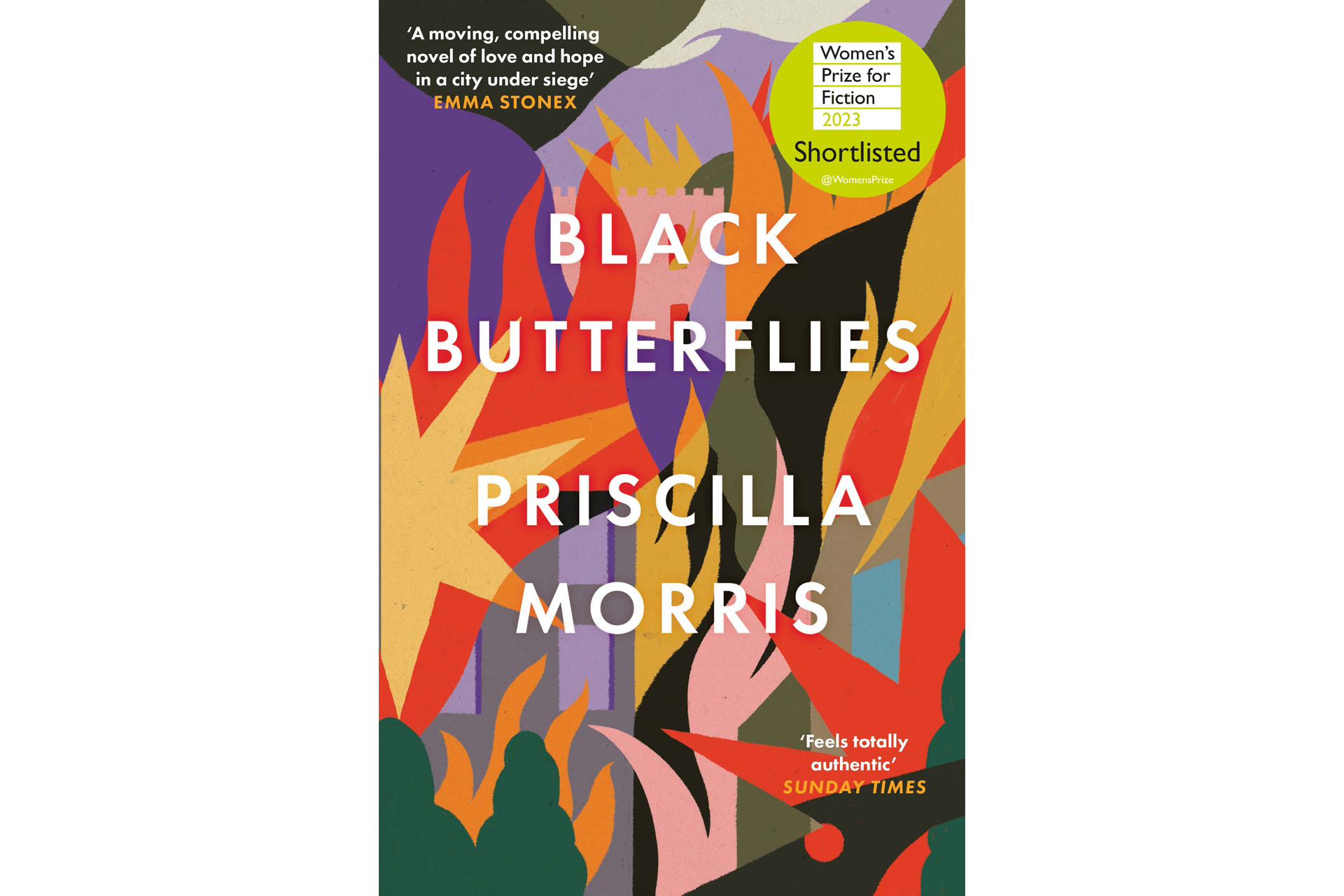 Black Butterflies Book Jacket
