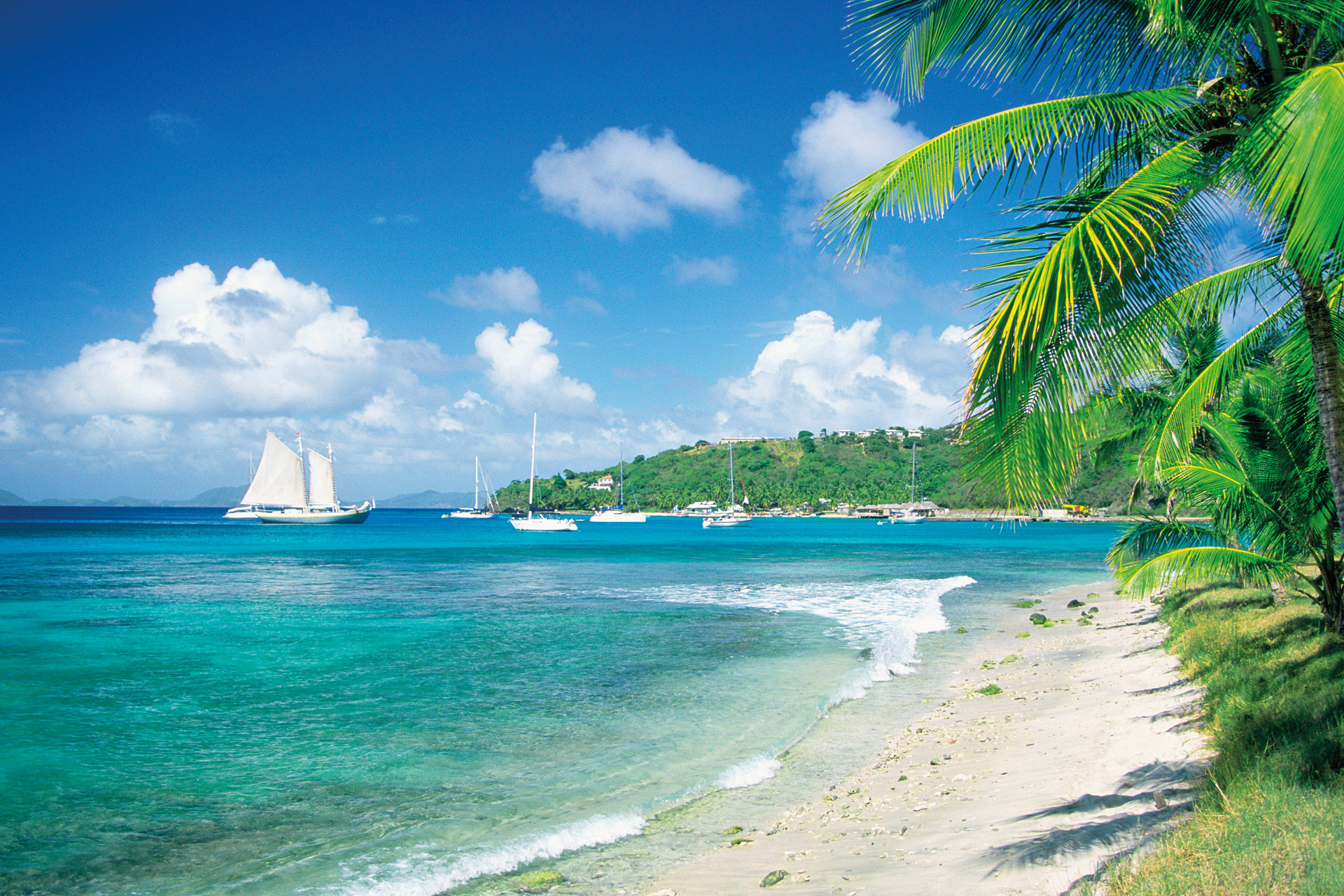 Sandy beach with palm trees and a sailing boat on the sea