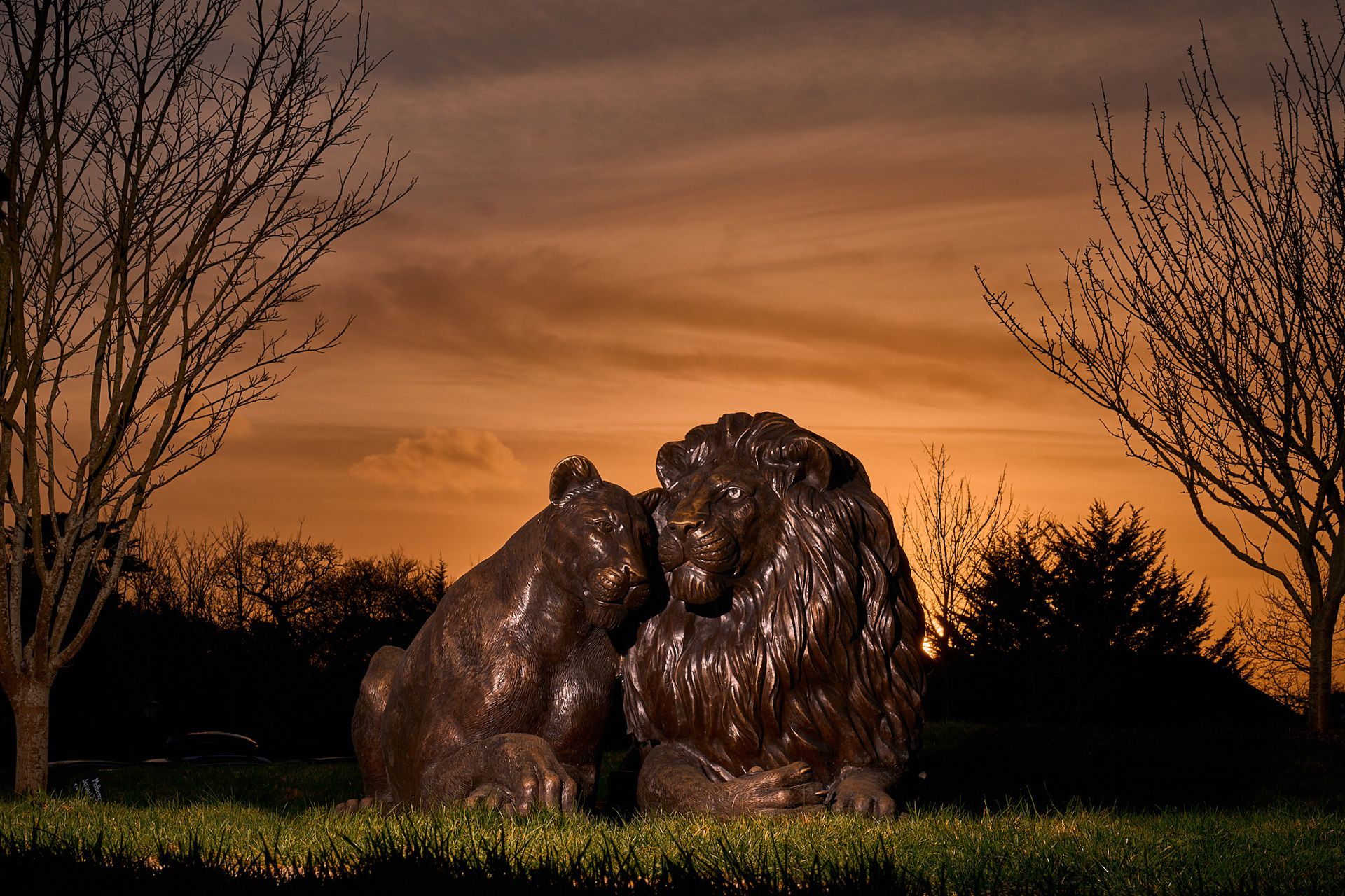 Two lion sculptures of an adult and a cub, with an orange sunset in the background.