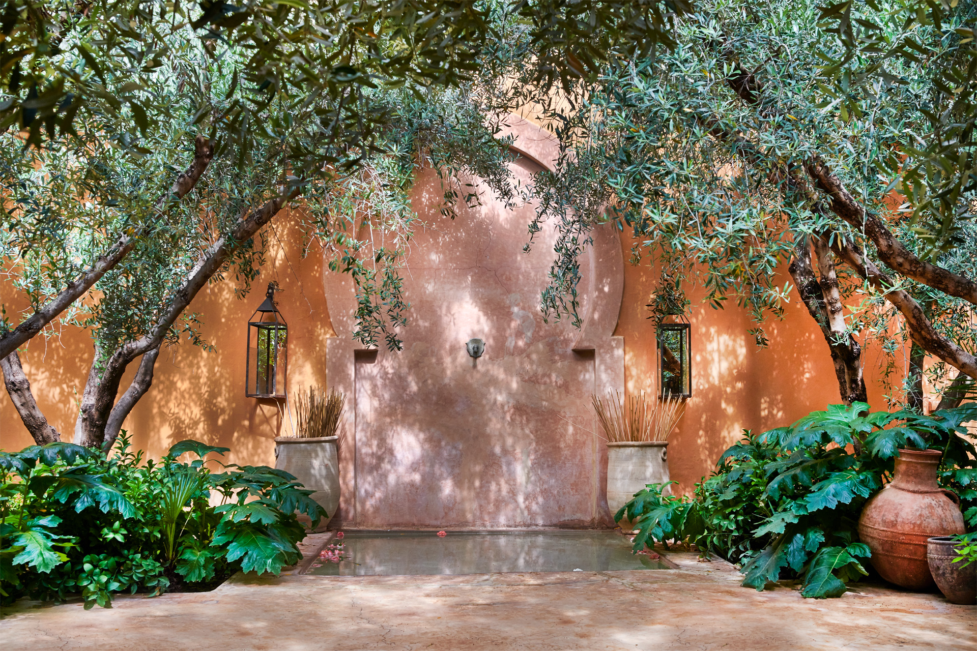 Courtyard with orange walls and palm trees
