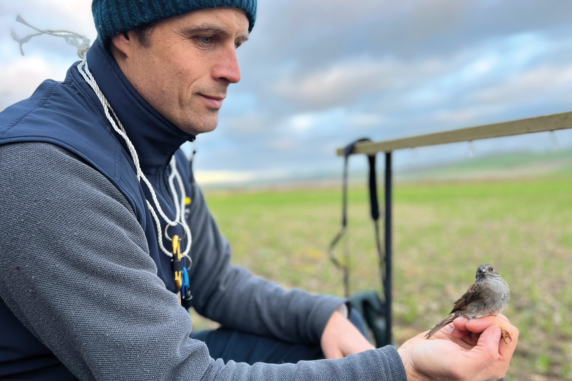 Matt Best in field holding a gold finch