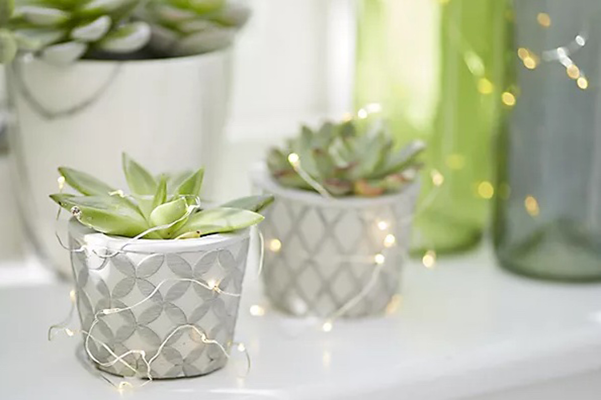 Fairy lights strung around grey pots of succulents