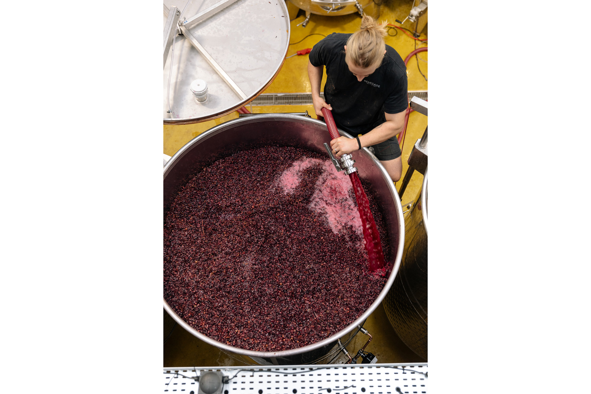 Making wine