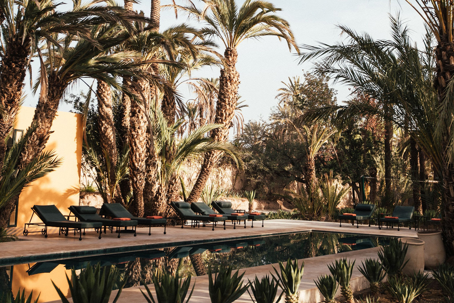 Pool at sunset with palm trees on either side