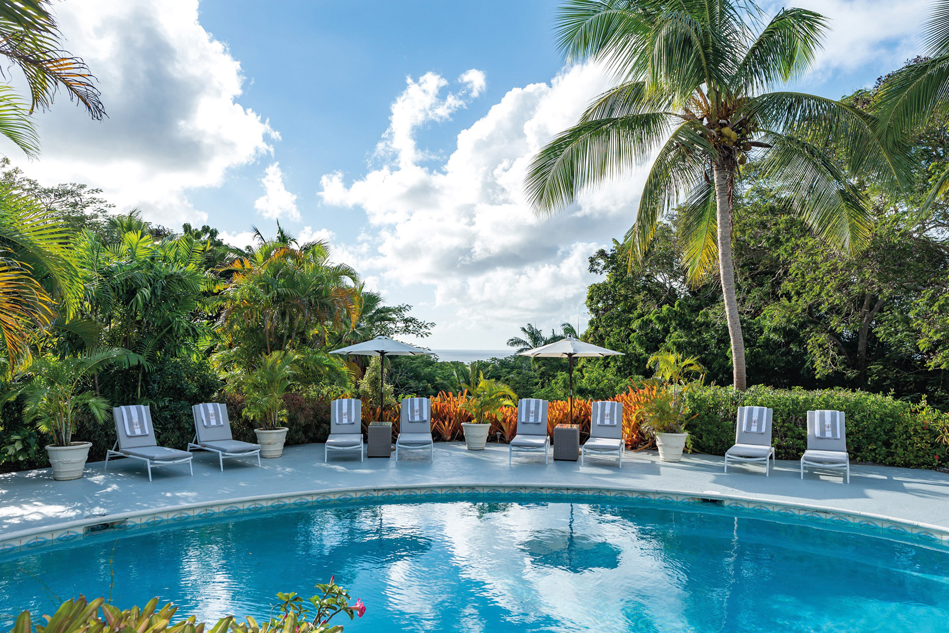 Pool with seats surrounding and palm trees beyond