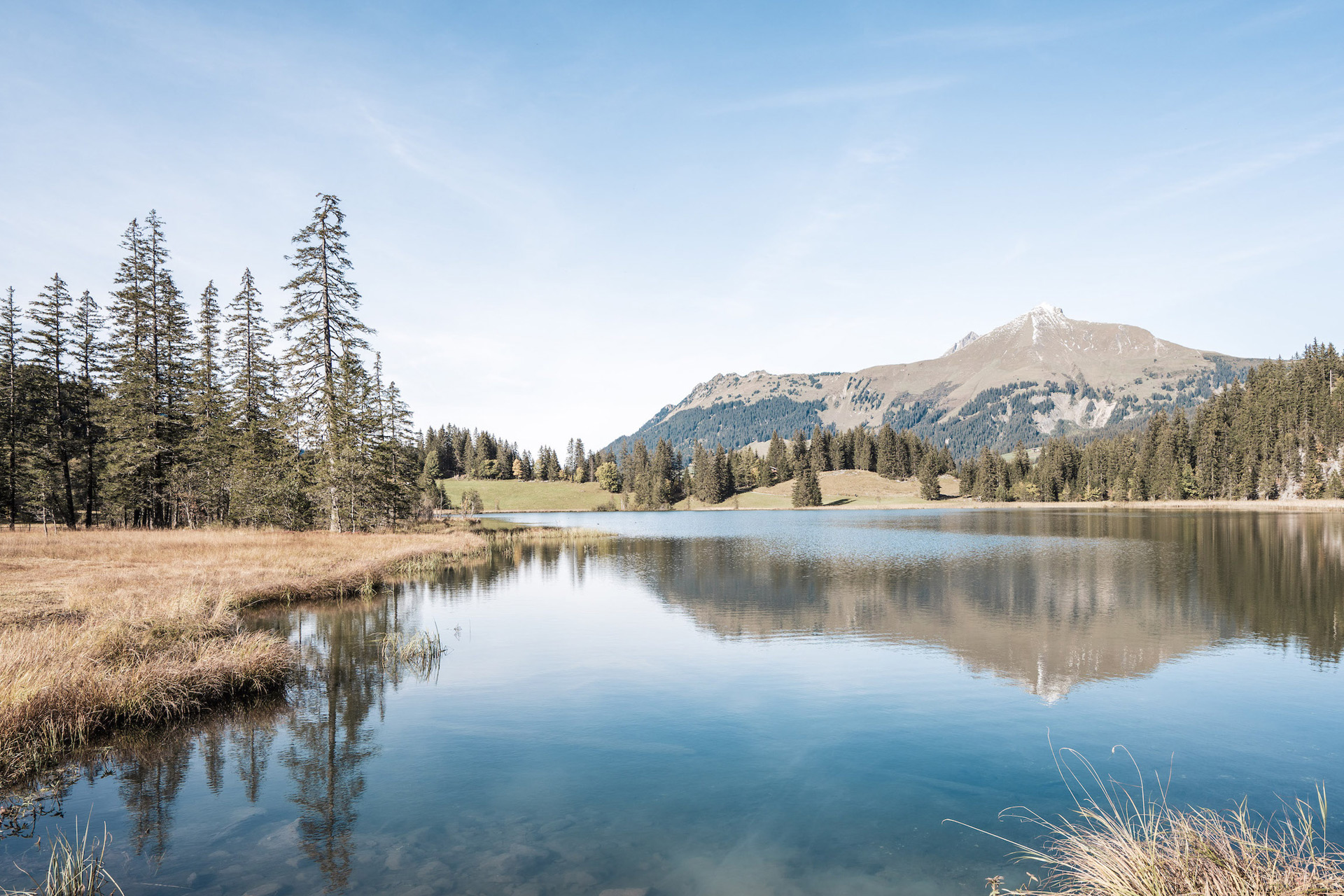 Lake with pine trees and hills in the distance.