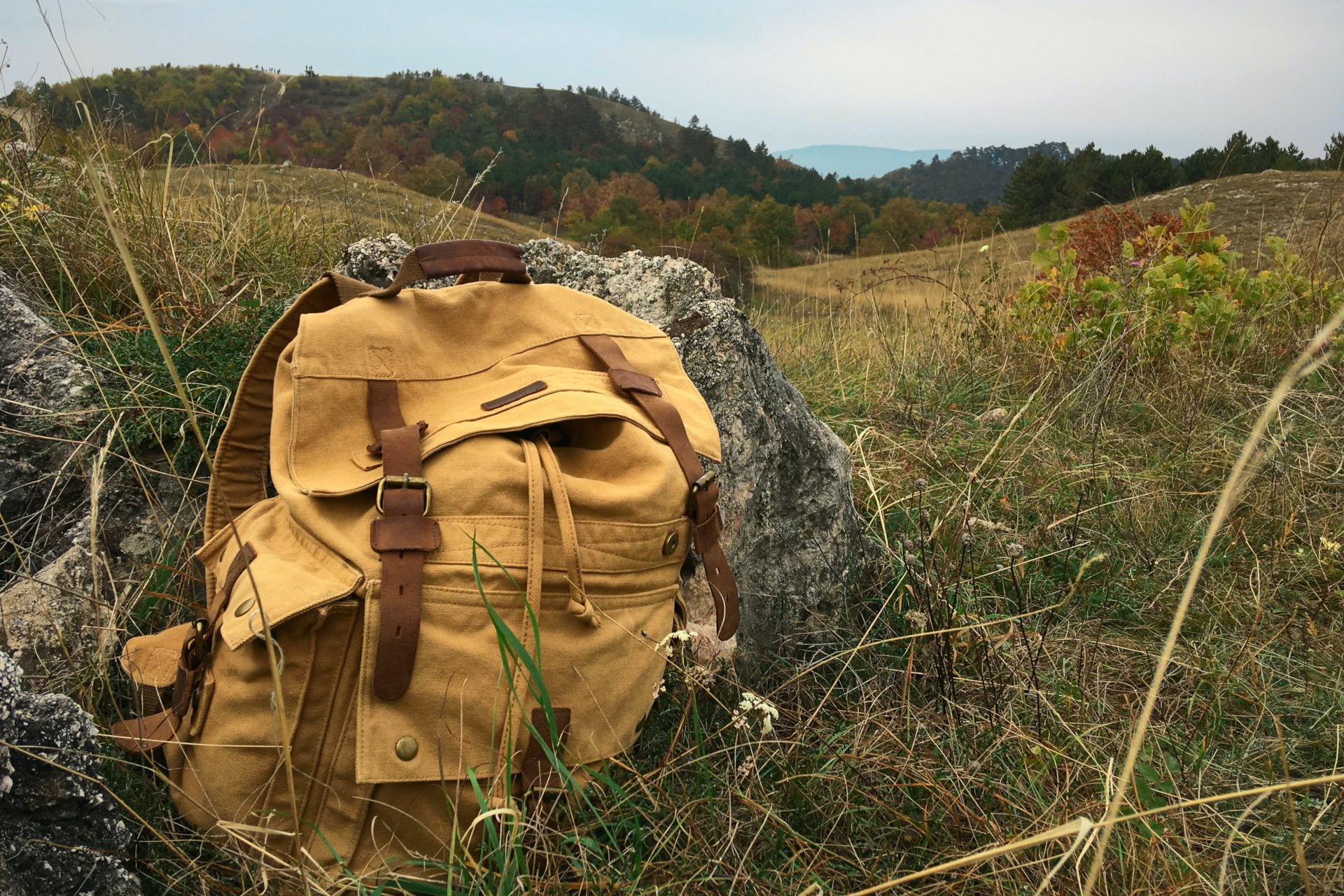 Yellow rucksack in field