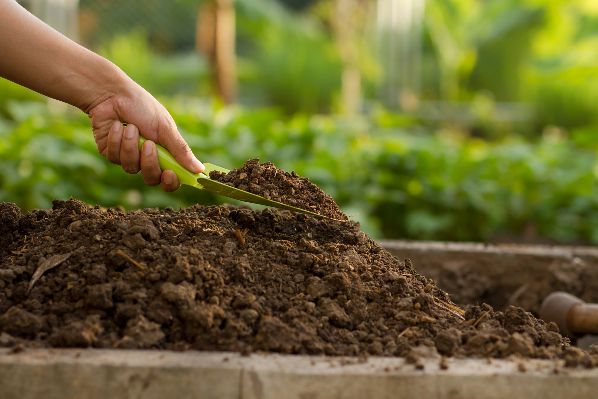 Green trowel held above compost heap