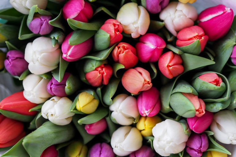 These Are The Best Romantic Films (& Where To Watch Them)