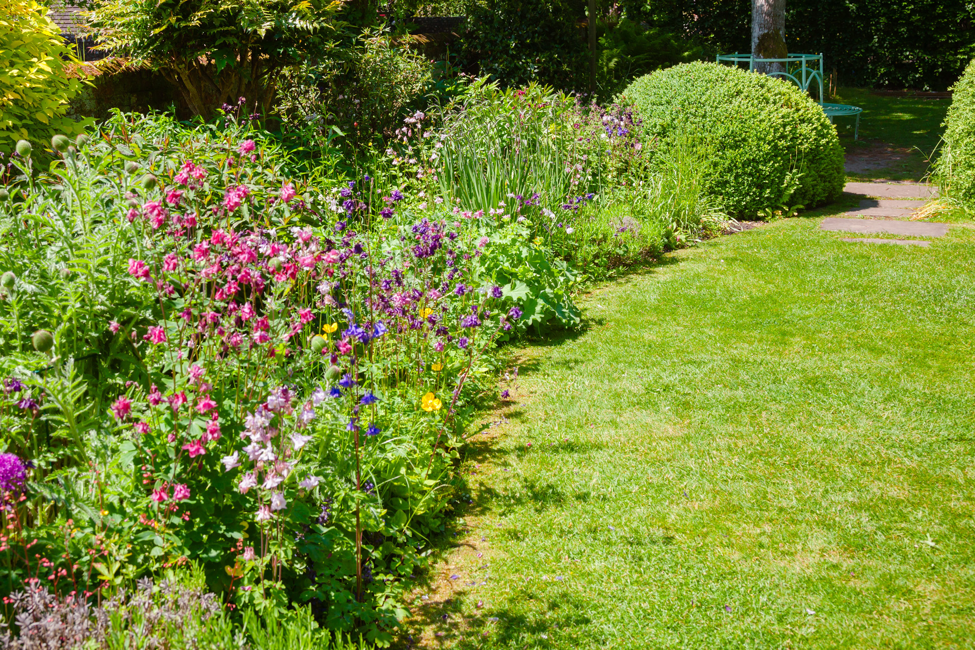 Gardens with hedge and flowers