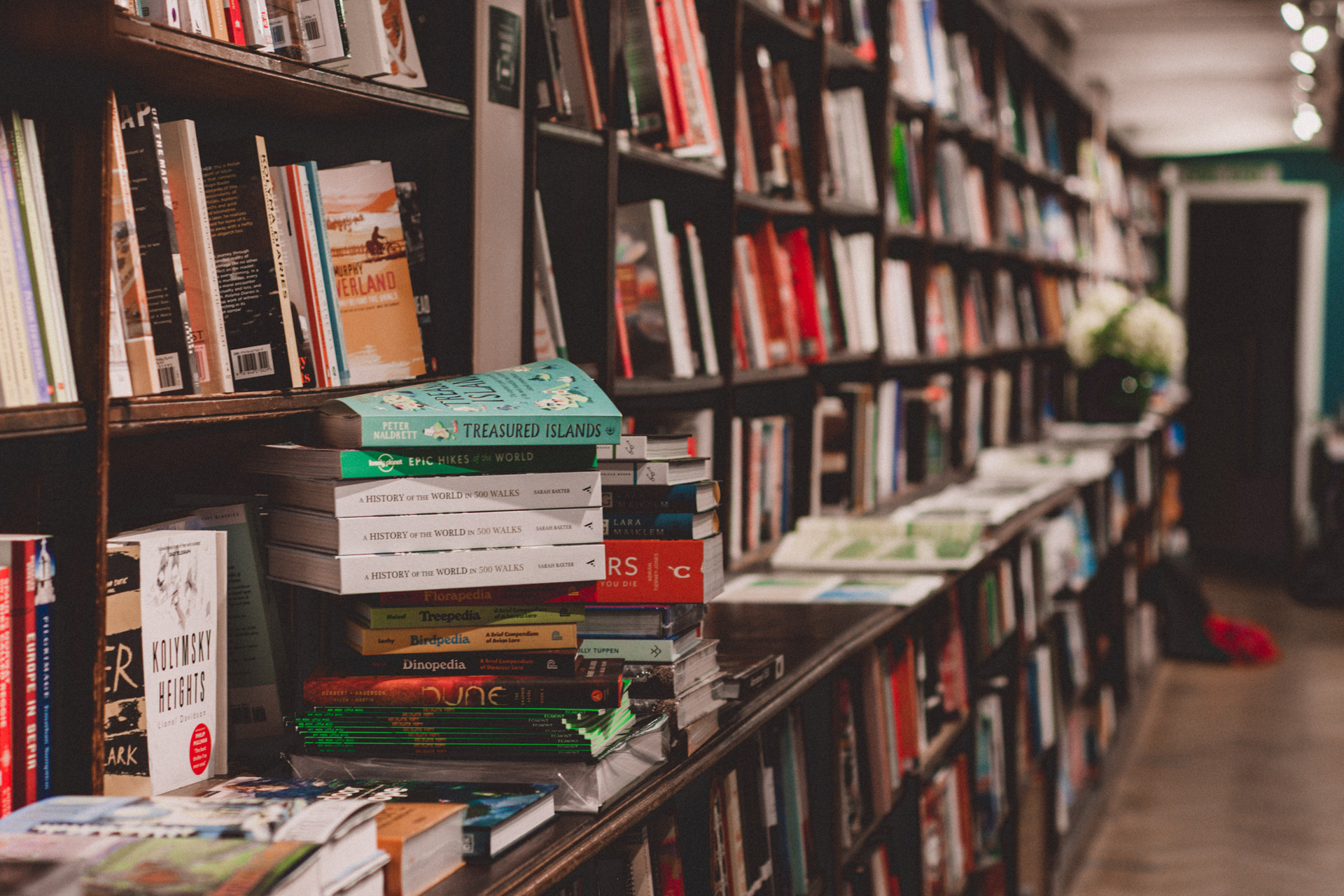 Inside a bookshop