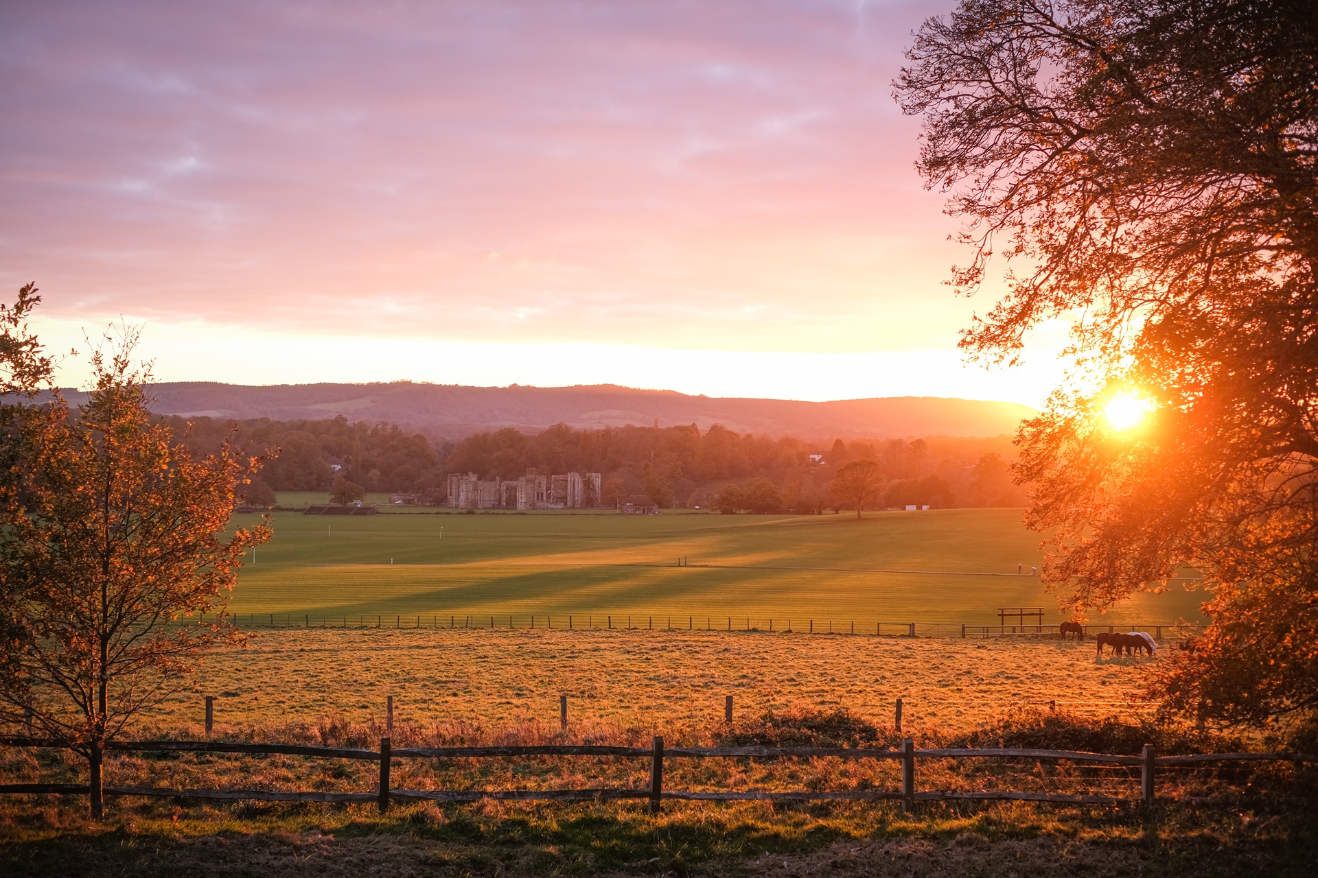 Sunset at Cowdray Estate