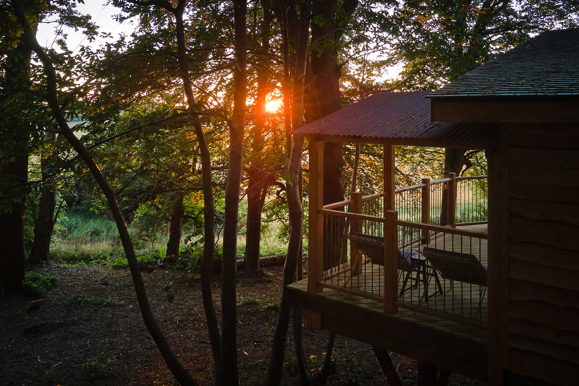 Cowdray Tree Houses
