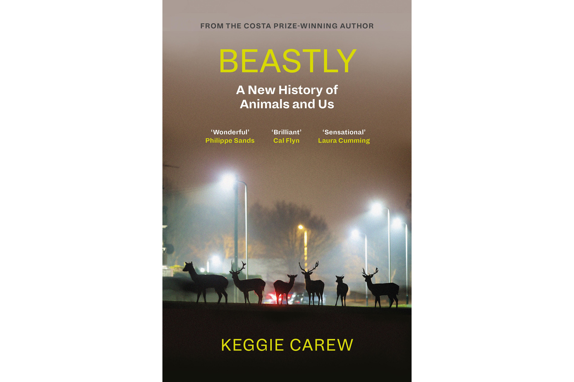 Beastly by Keggie Carew