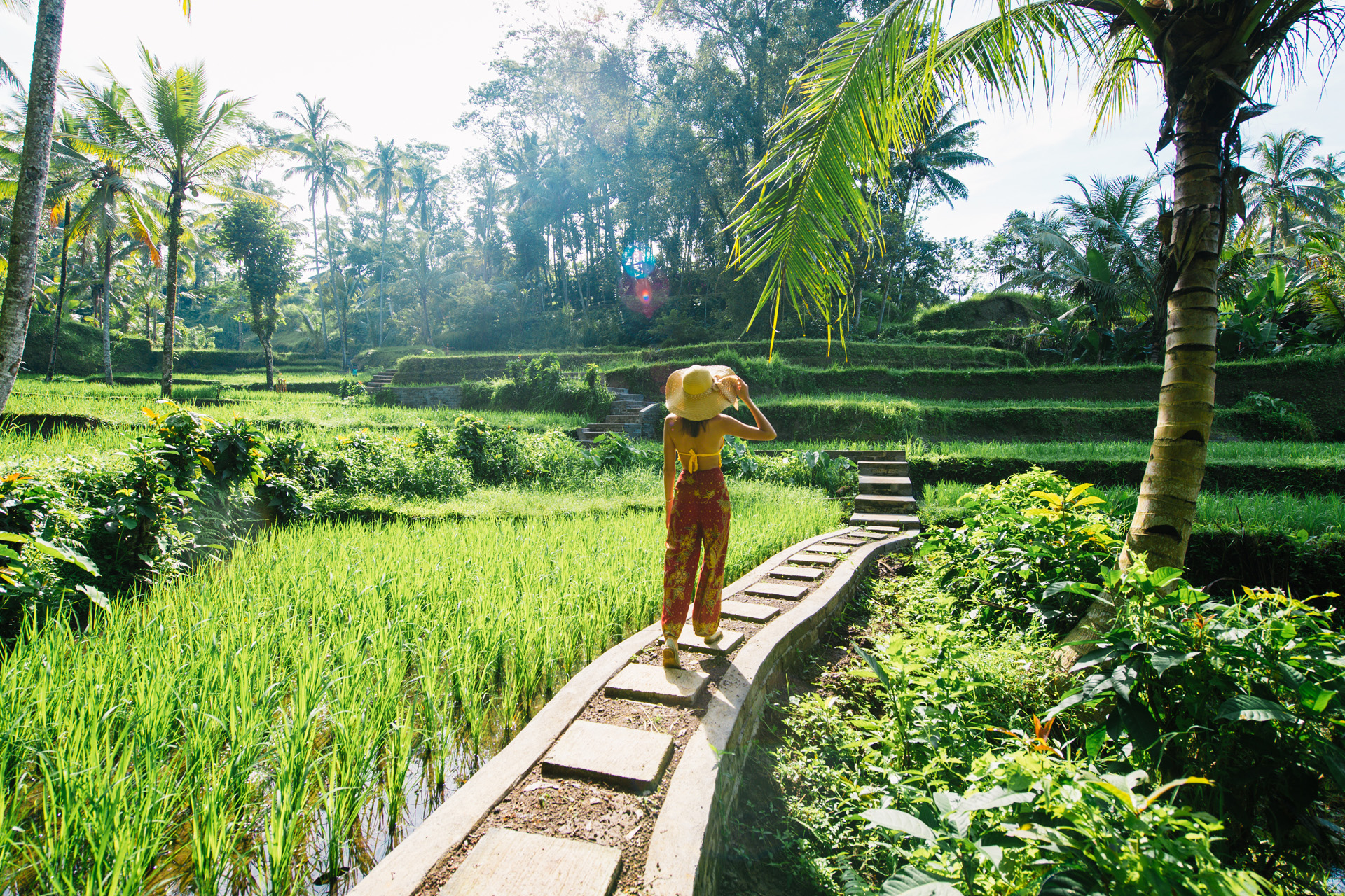 Young woman on green cascade rice field plantation at Tegalalang terrace. Bali, Indonesia