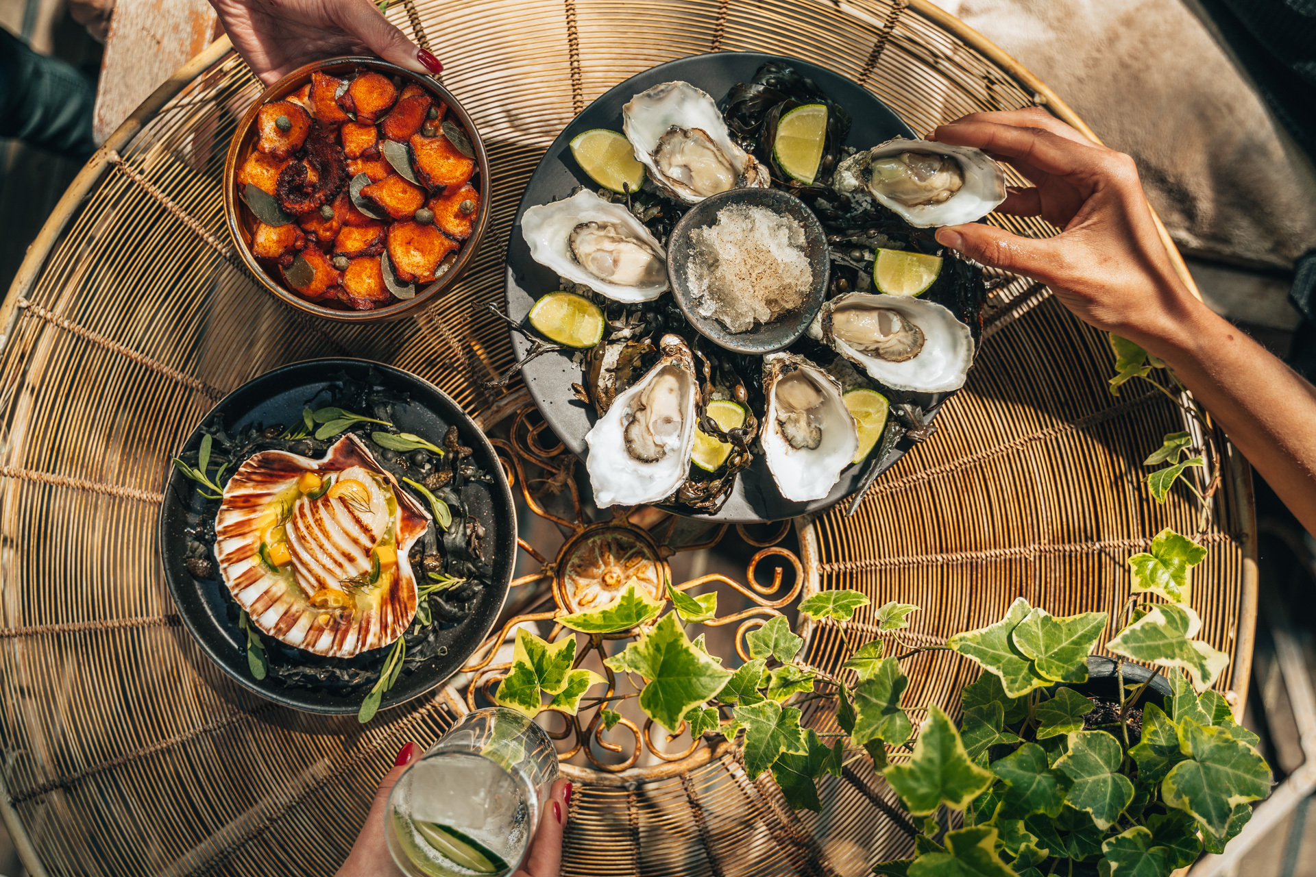 Oysters at YOPO, the restaurant at The Mandrake