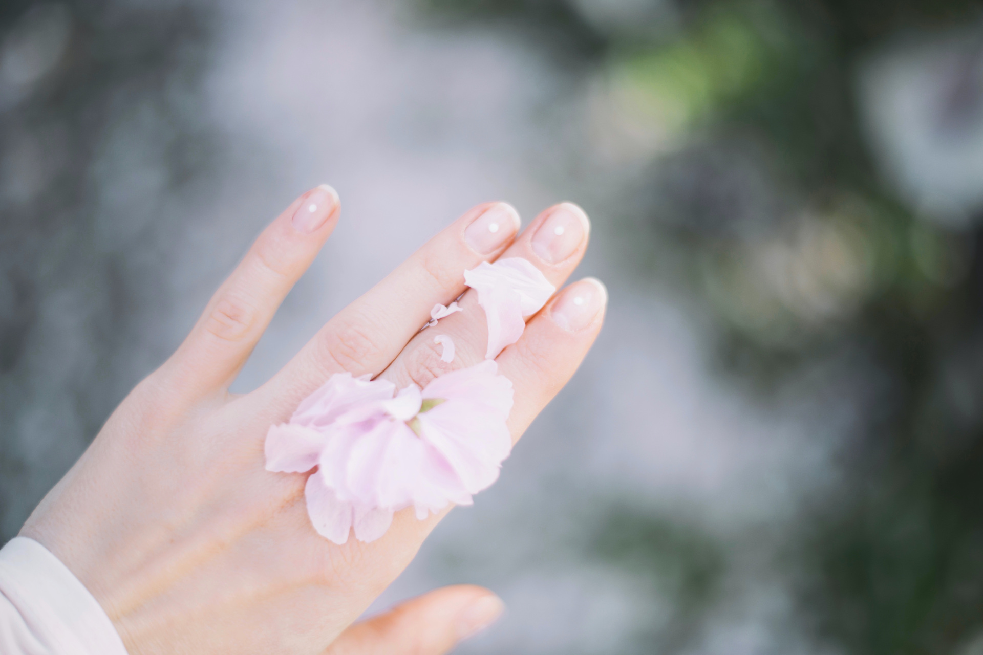 Hand with pink flower on top