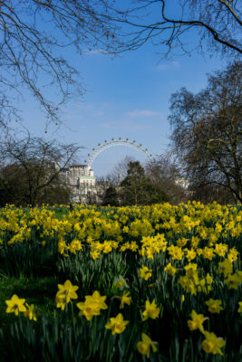 Spring in London