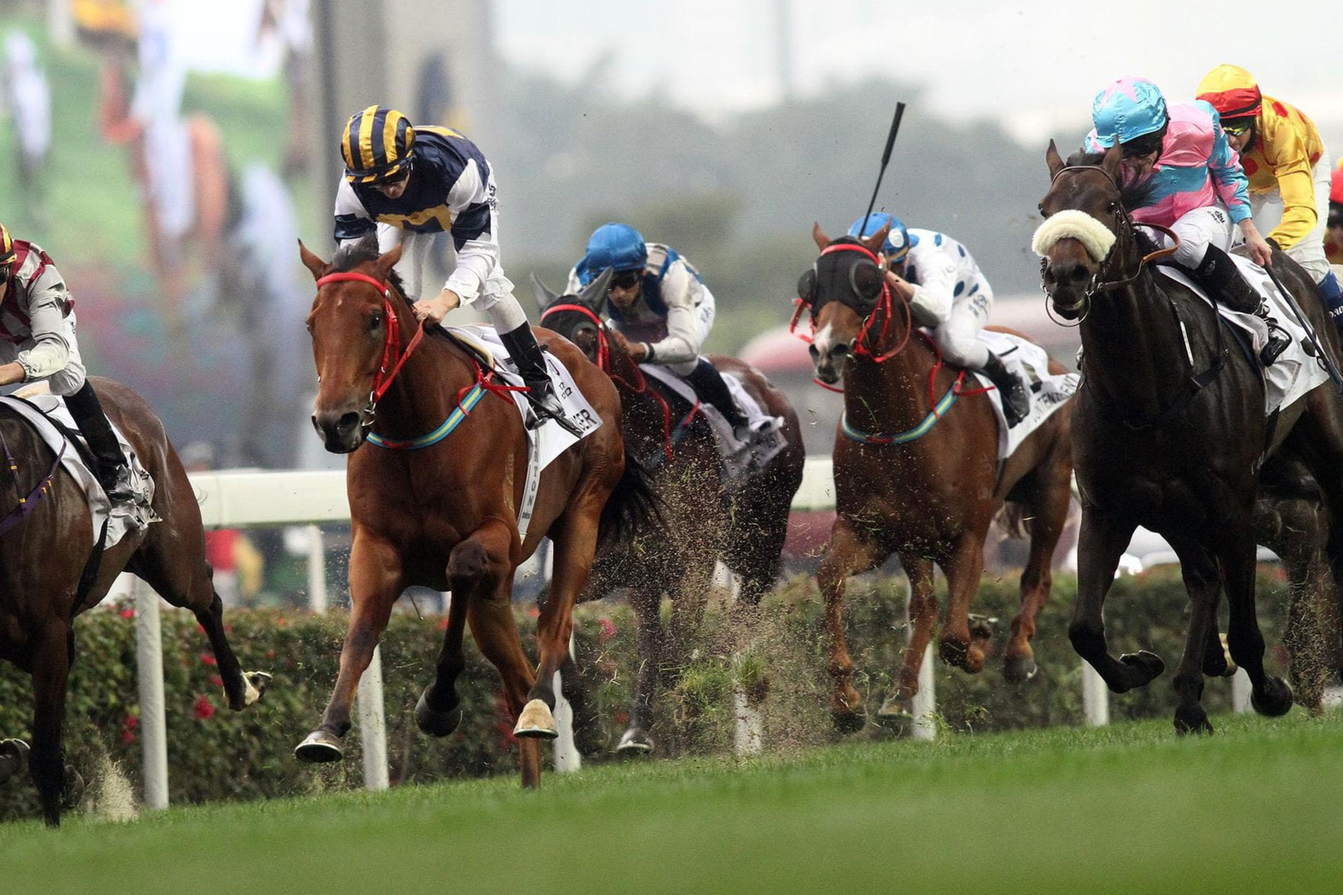 Horses and jockeys racing at the grand national