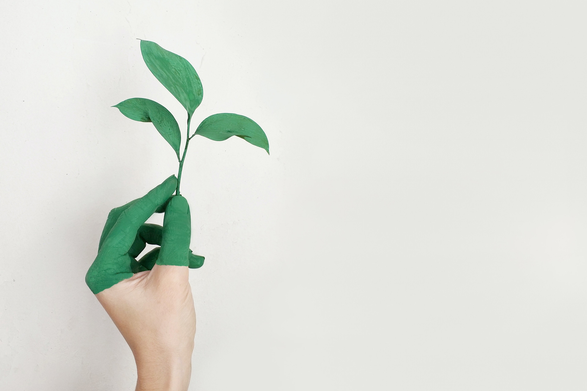 Hand painted green holding a leaf