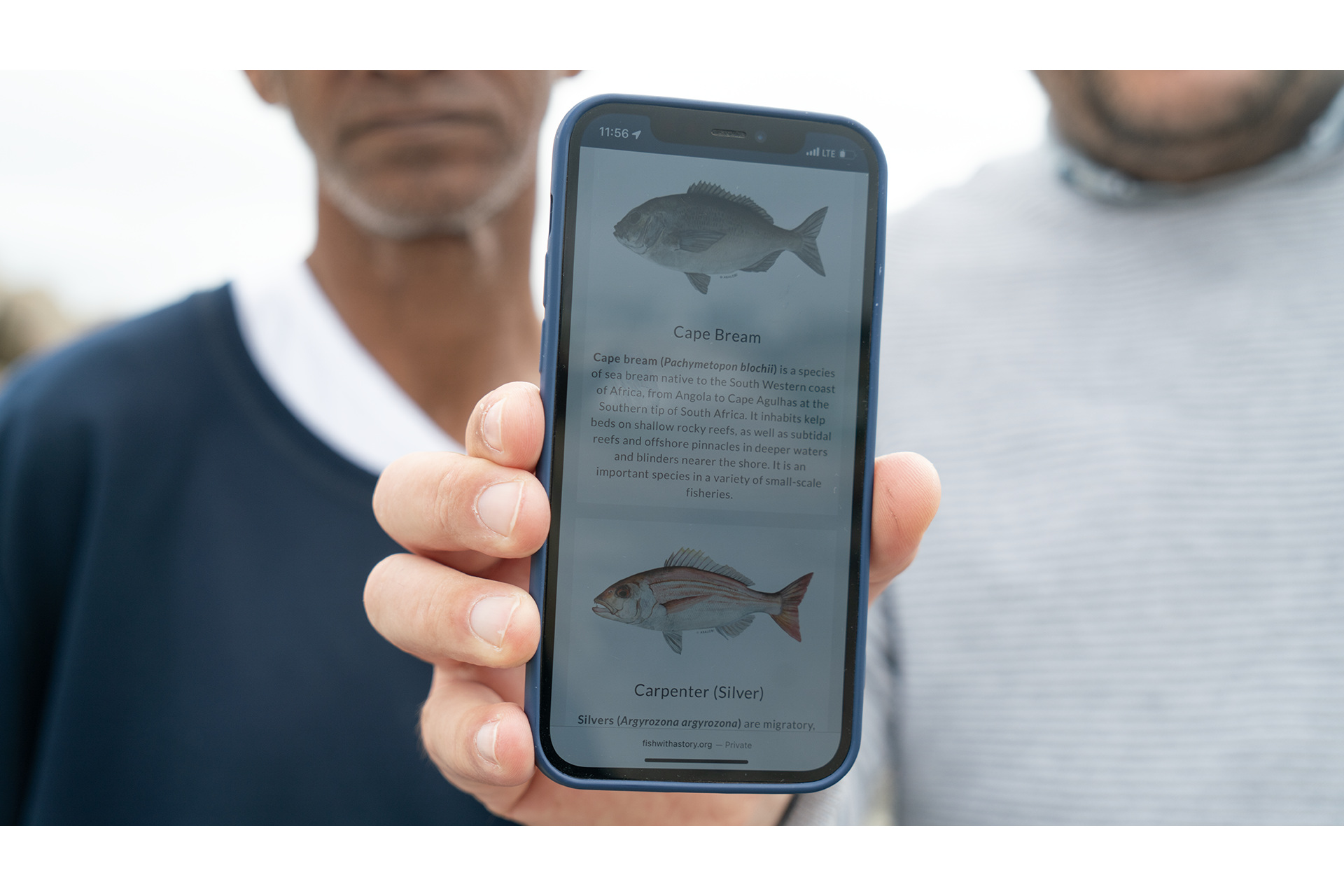 Close up of phone with fish pictures