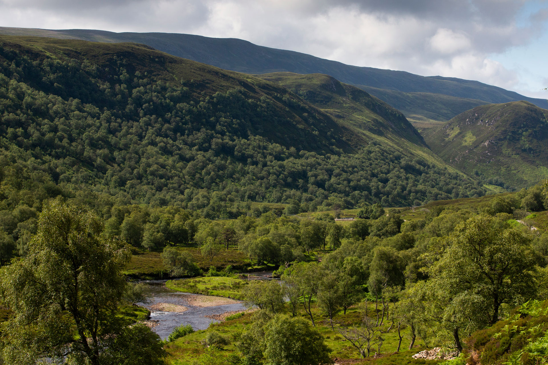 Alladale Wilderness Reserve