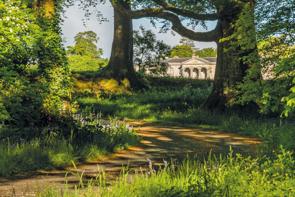 Woodland path