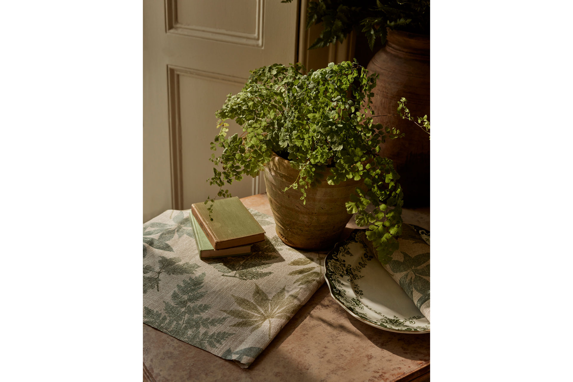 A plant with some botanical fabric