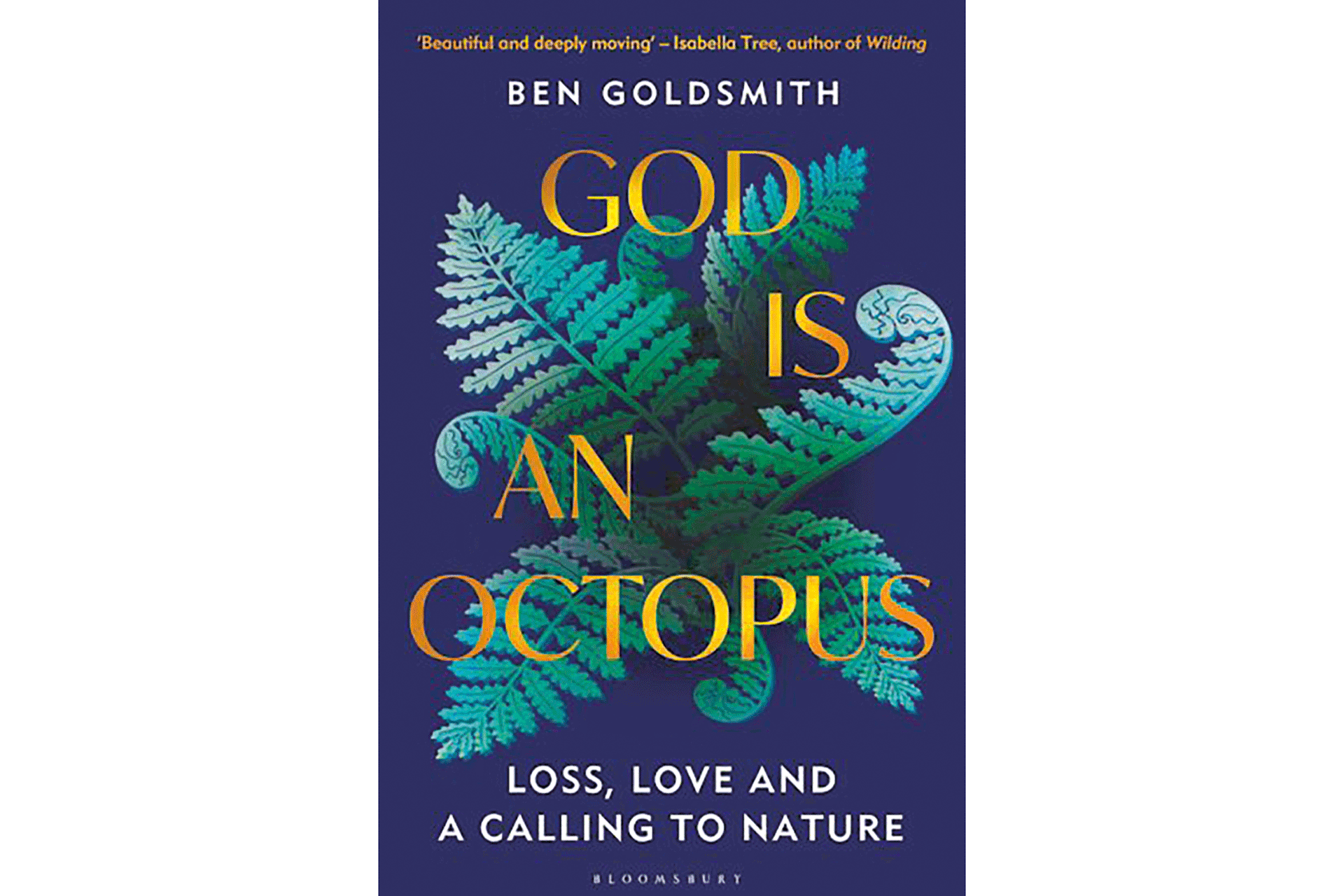 Book cover of 'God is an Octopus'