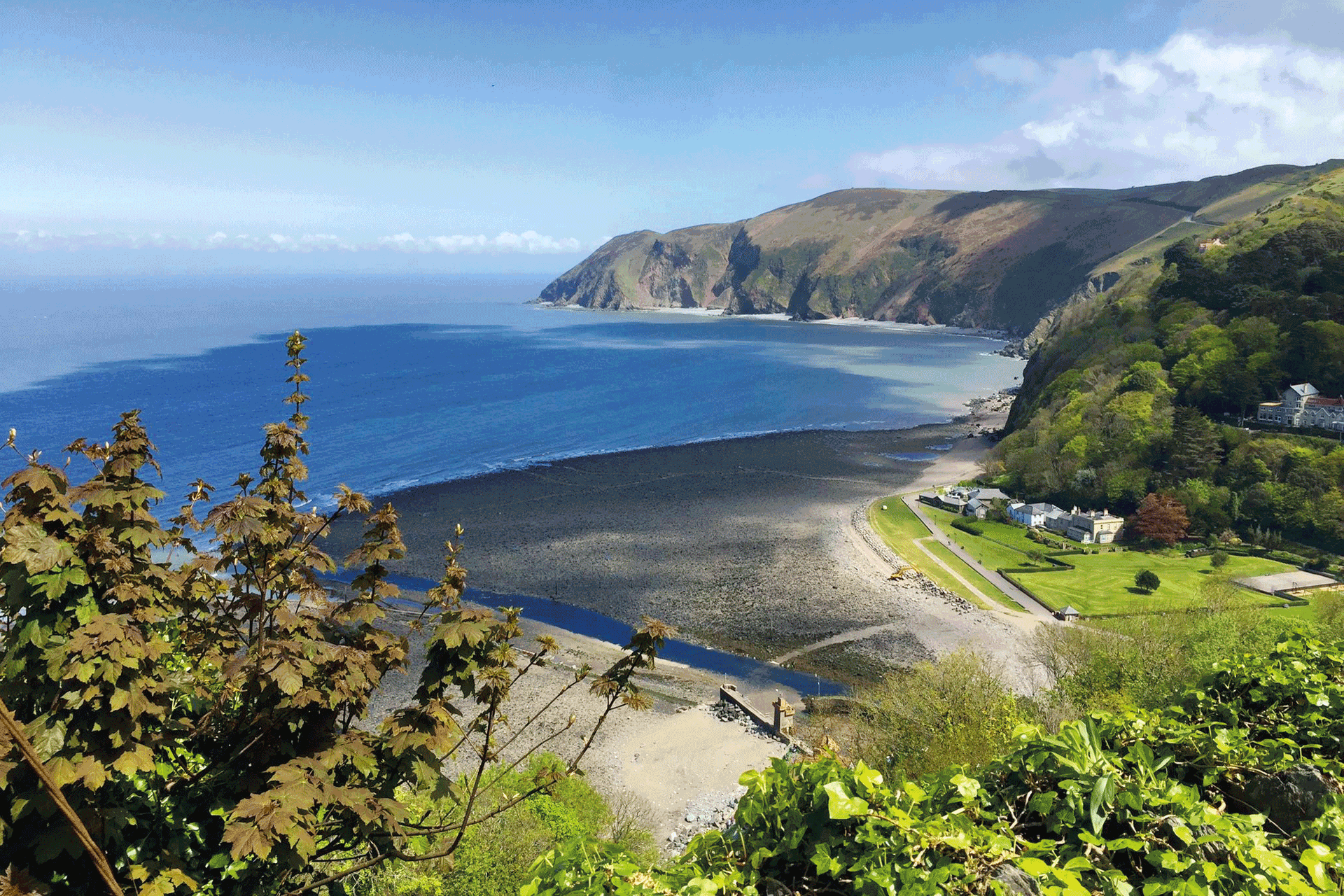 Coastal view from a hillside.