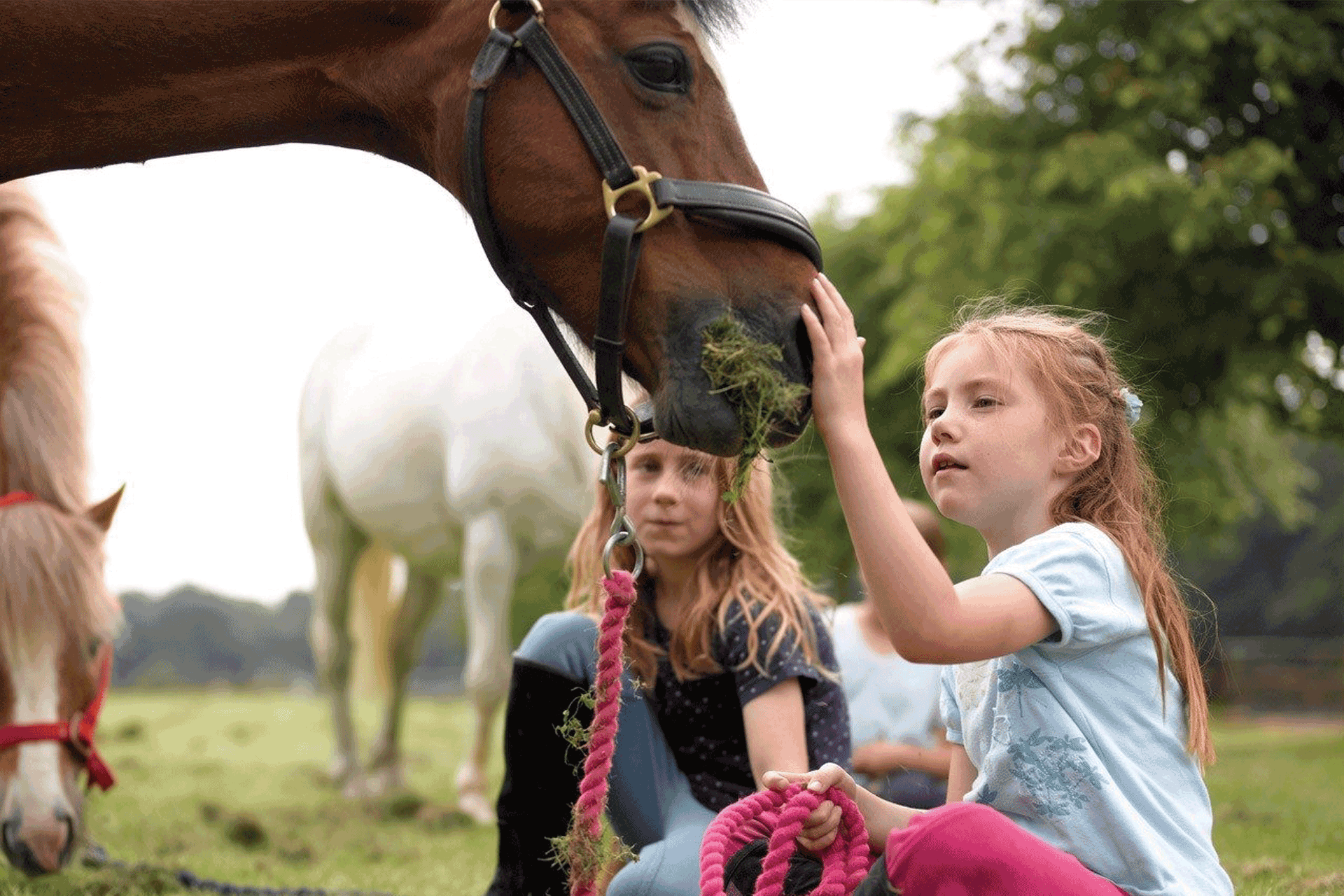 Young children petting a horse at Lucknam Park.